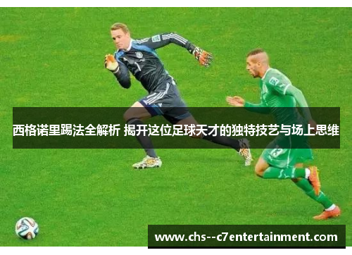 西格诺里踢法全解析 揭开这位足球天才的独特技艺与场上思维