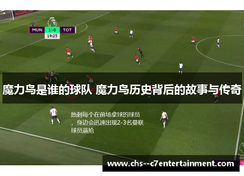 魔力鸟是谁的球队 魔力鸟历史背后的故事与传奇