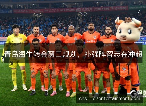 青岛海牛转会窗口规划，补强阵容志在冲超